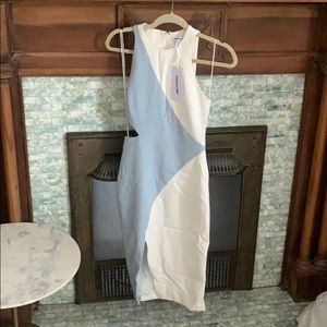 Elizabeth and James Dress size 2